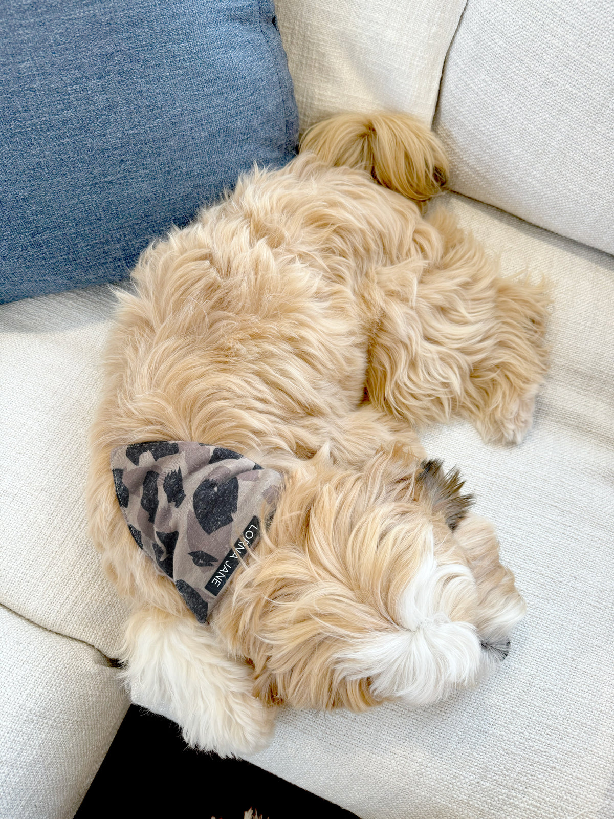 Bandana Dog Collar
