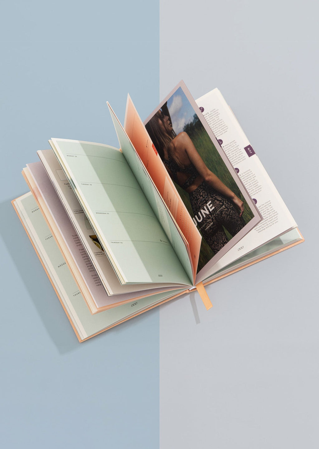 Active Living Diary 2024