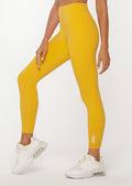 Accelerate Ankle Biter Leggings