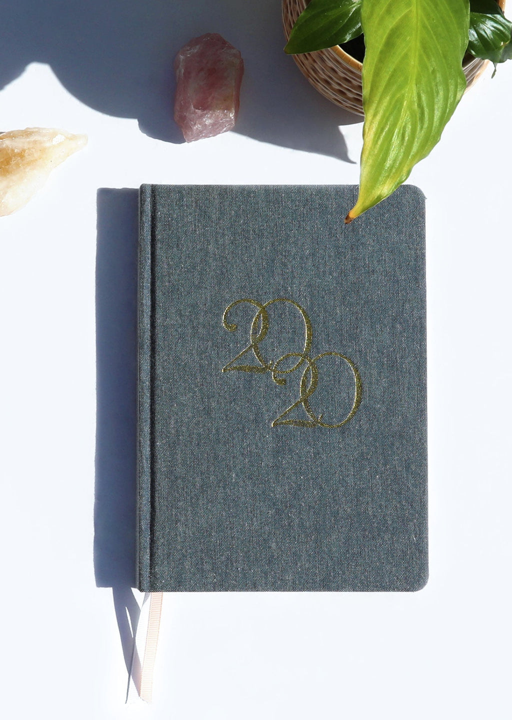 Active Living Diary 2020