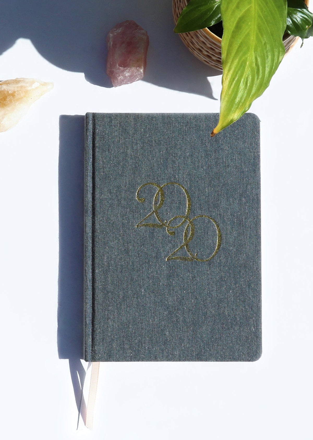 Active Living Diary 2020