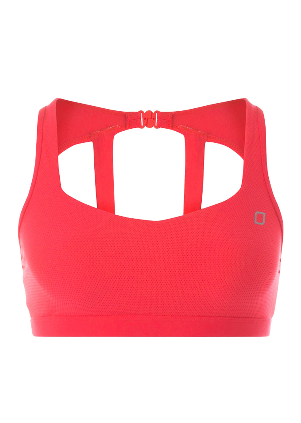 Addi Sports Bra