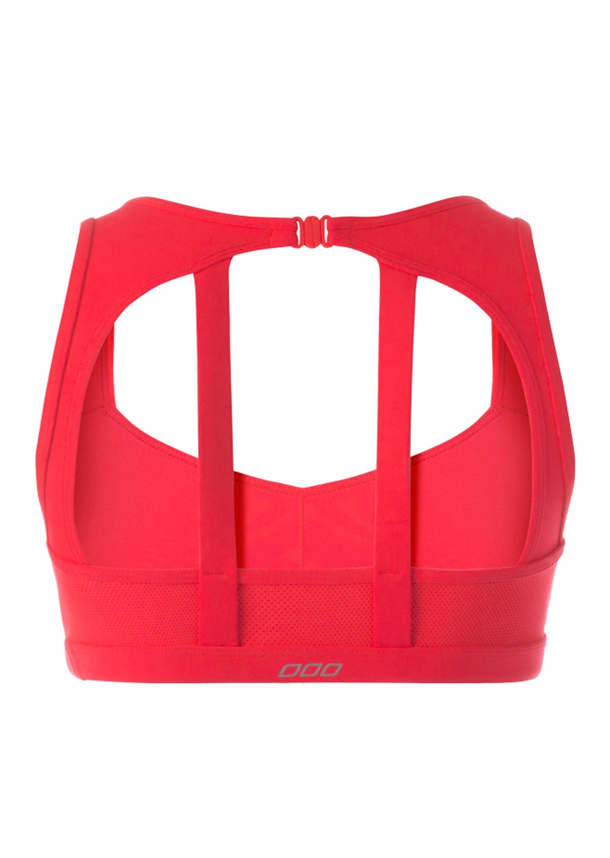 Addi Sports Bra