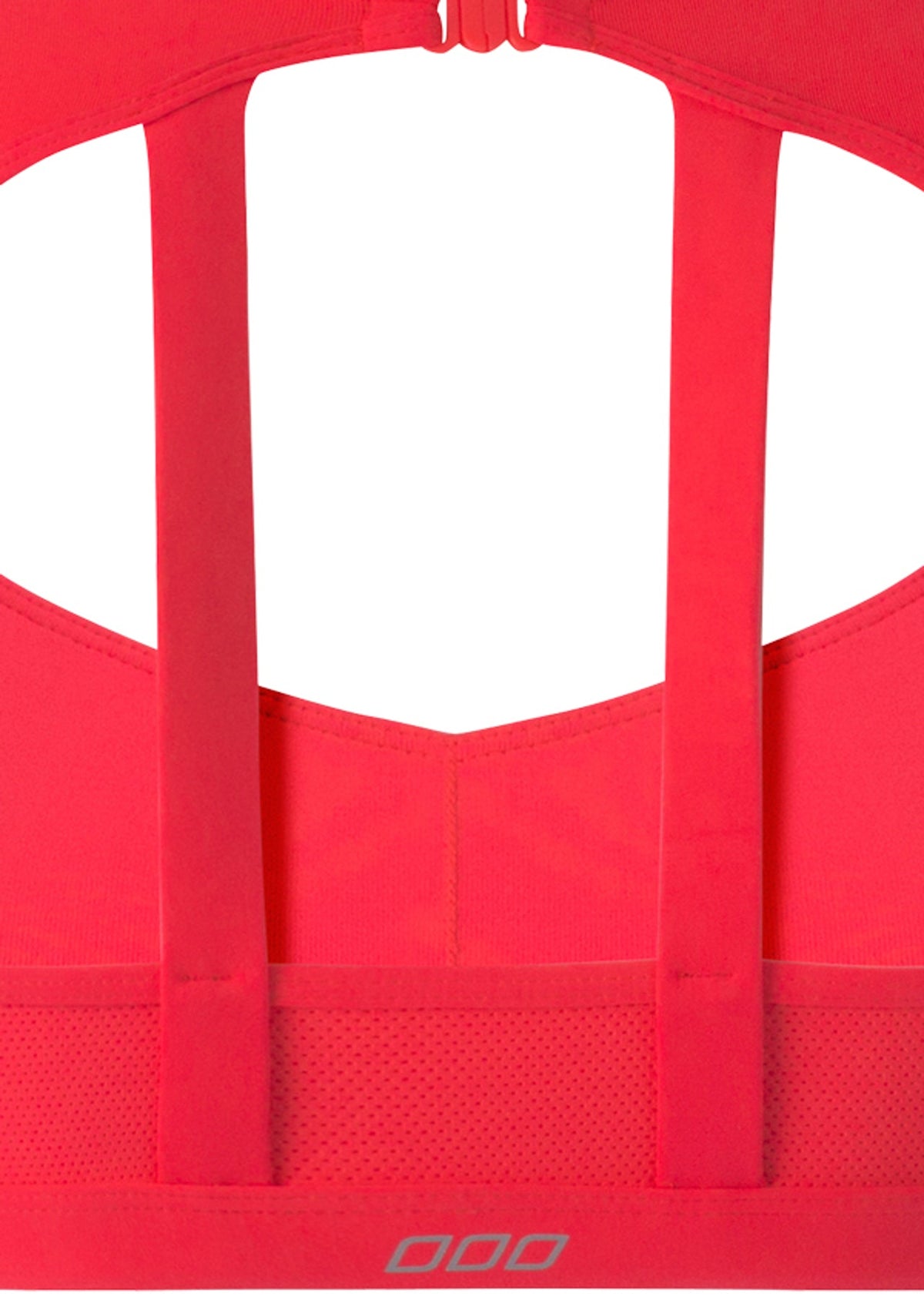 Addi Sports Bra