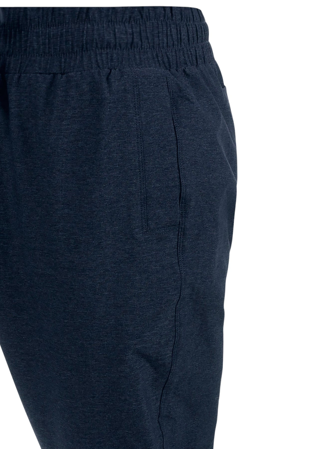 Alexa Active Pants