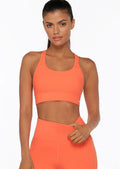 Aloe Vera Compress & Compact Sports Bra