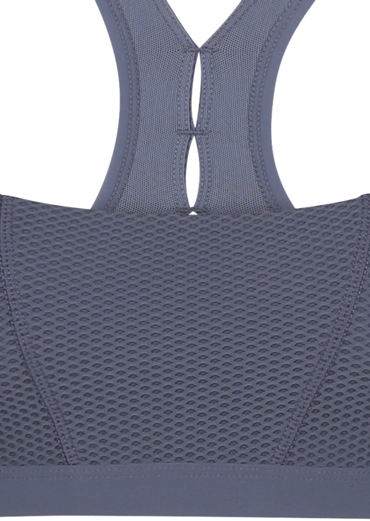 Electra Sports Bra