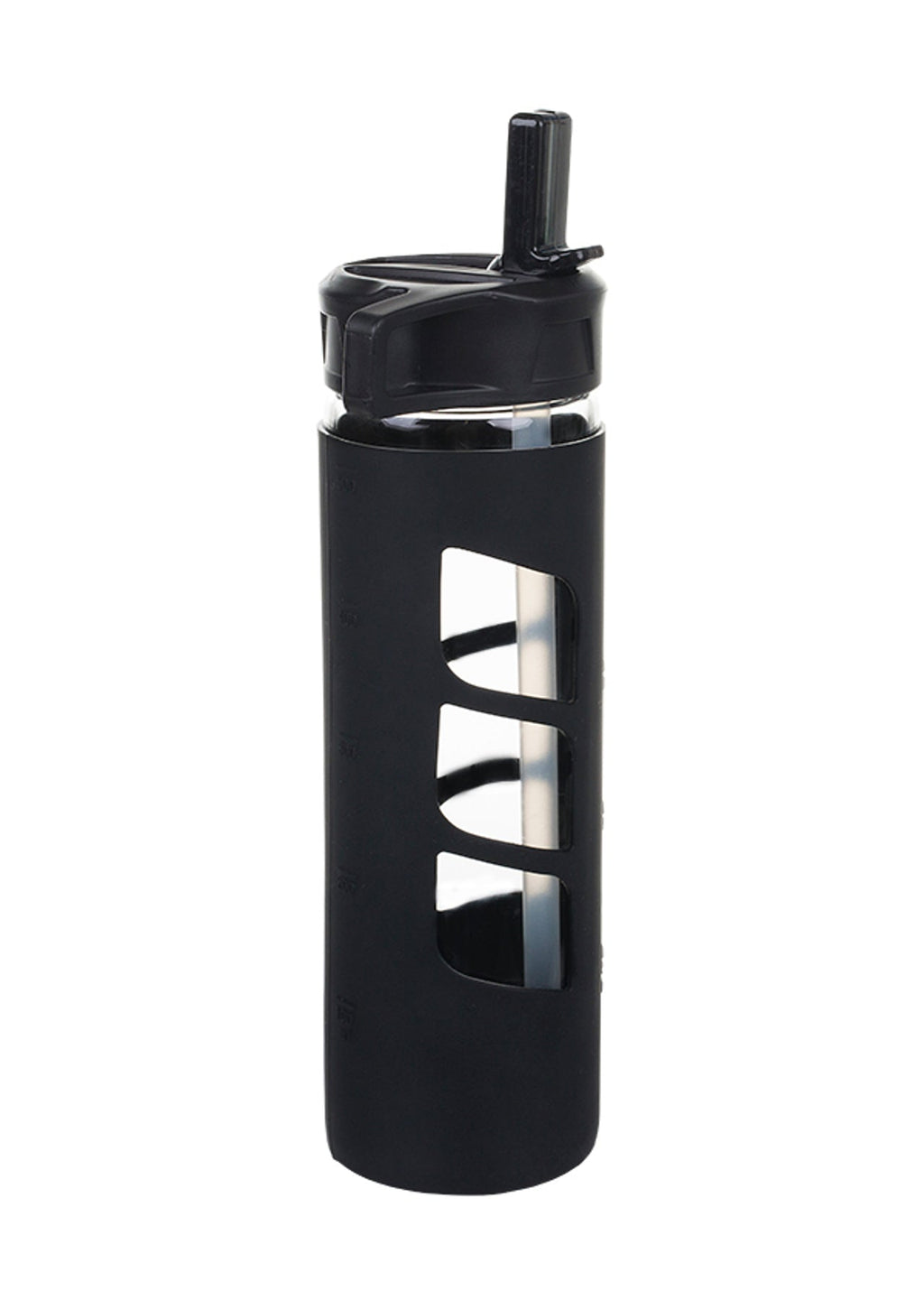 Iconic Glass Water Bottle